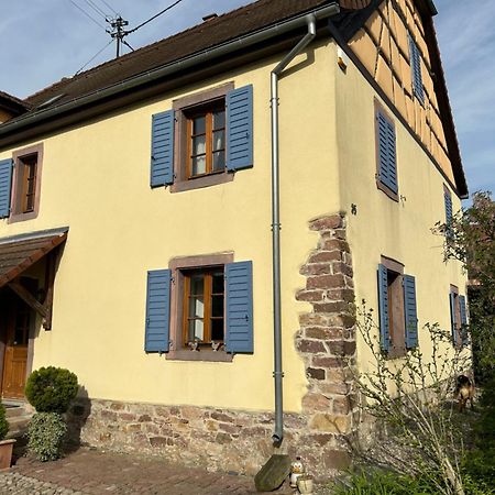 Gite La Maison De Jules Muntzenheim Εξωτερικό φωτογραφία